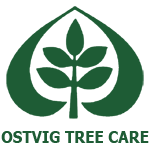 history of Ostvig Tree Care since 1933