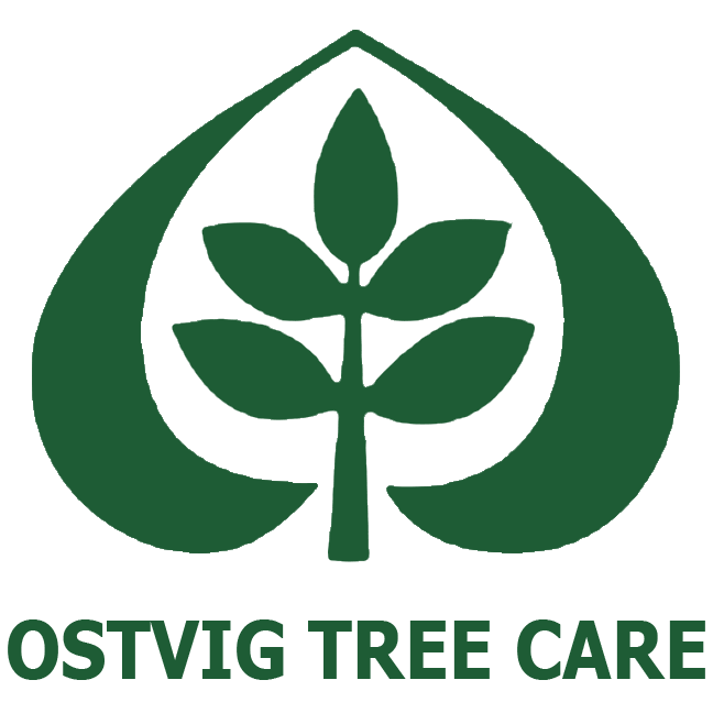 ostvig tree care service logo minneapolis minnesota