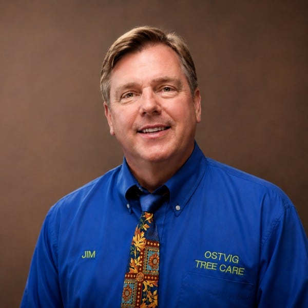 Jim Ostvig