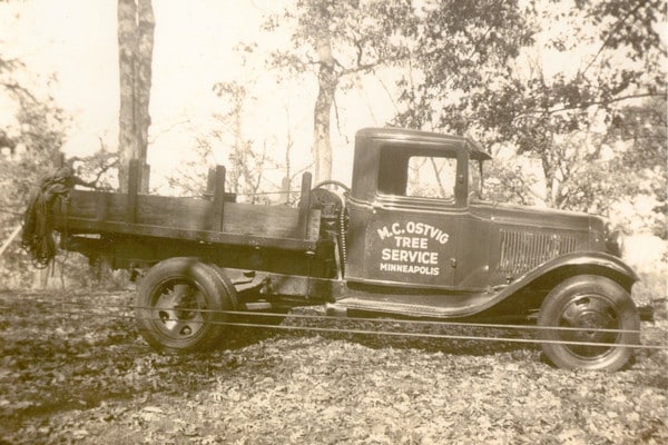 Vintage Ostvig Tree Service truck from company history hauling tree logs.