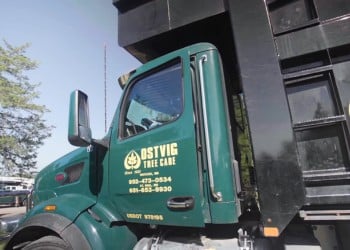 Ostvig Tree Service branded hauling truck loaded with tree debris and logs.