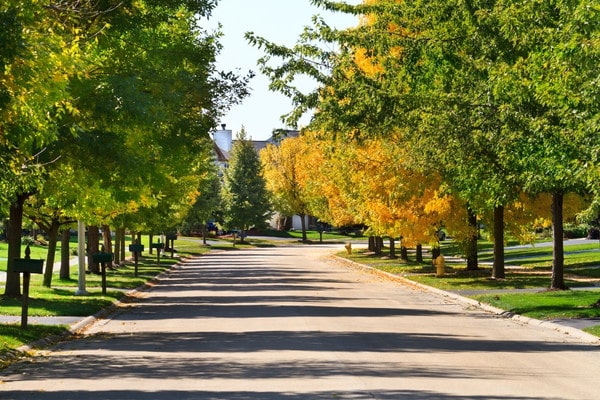 Tree-lined residential street with fall foliage.