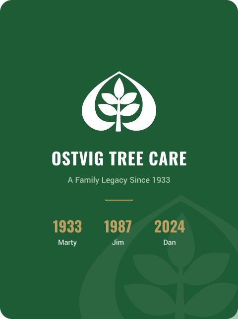 dan-ostvig