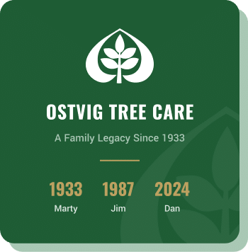 ostvig-tree-care-a-family-legacy-since-1933